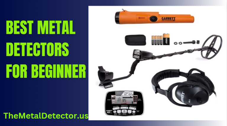 Best Metal Detectors for Beginners