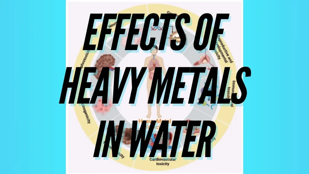 What Are the Effects of Heavy Metals in Water?