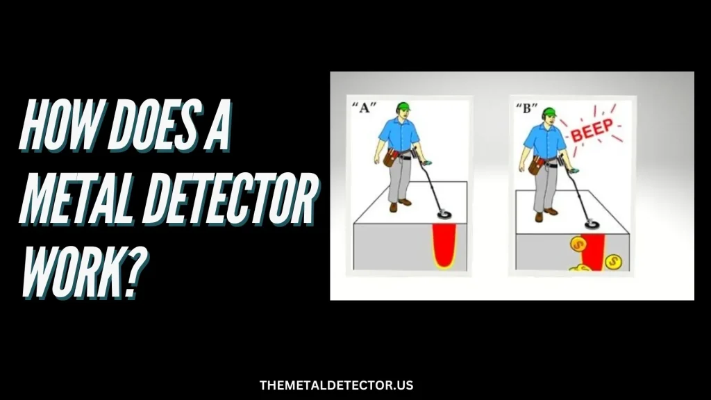 How Does a Metal Detector Work?